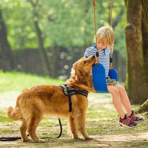 Hamaca Azul - playplaza.uy