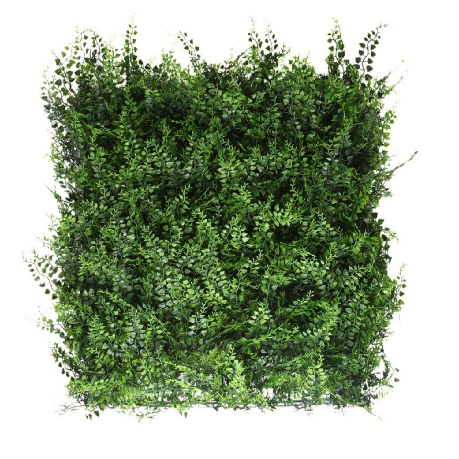 Jardin Vertical Helecho - playplaza.uy