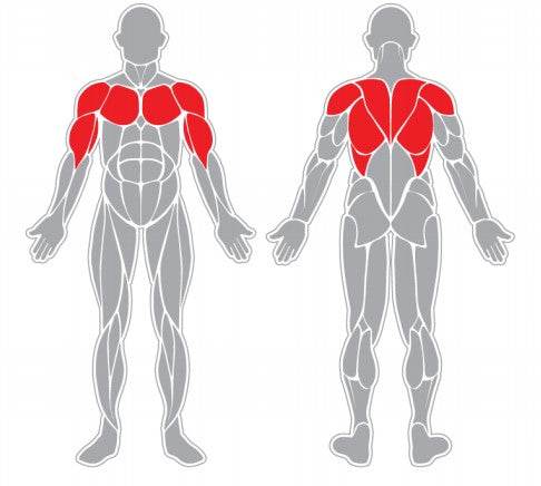 Pectorales y Brazos - playplaza.uy