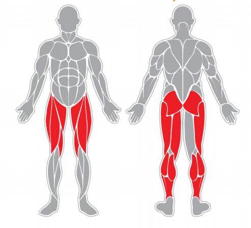 Femoral Sentado - playplaza.uy