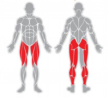 Femoral Sentado - playplaza.uy