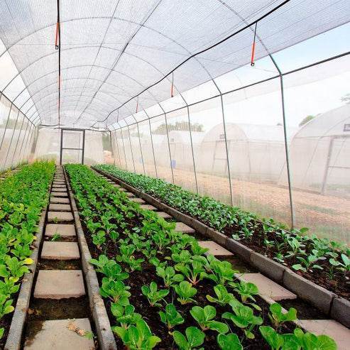 Malla Antiafido 40 Mesh 5x100M - playplaza.uy