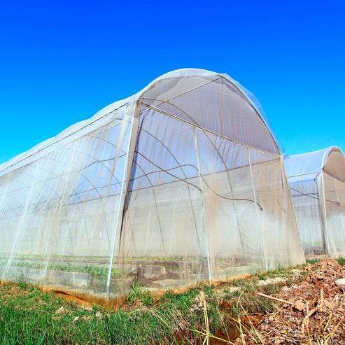 Malla Antiafido 40 Mesh 5x100M - playplaza.uy