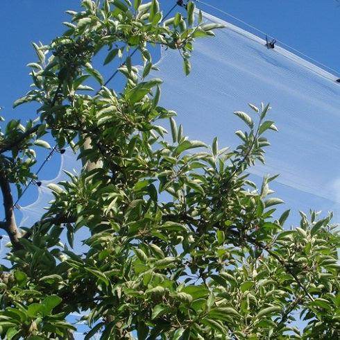 Malla Antigranizo 50g Transparente 7x100 Metros - playplaza.uy